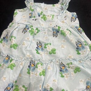 Bluey girl dress